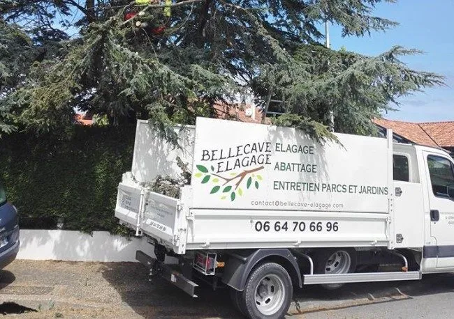Camion Bellecave Élagage stationné sur un chantier à Saint-Martin-de-Seignanx