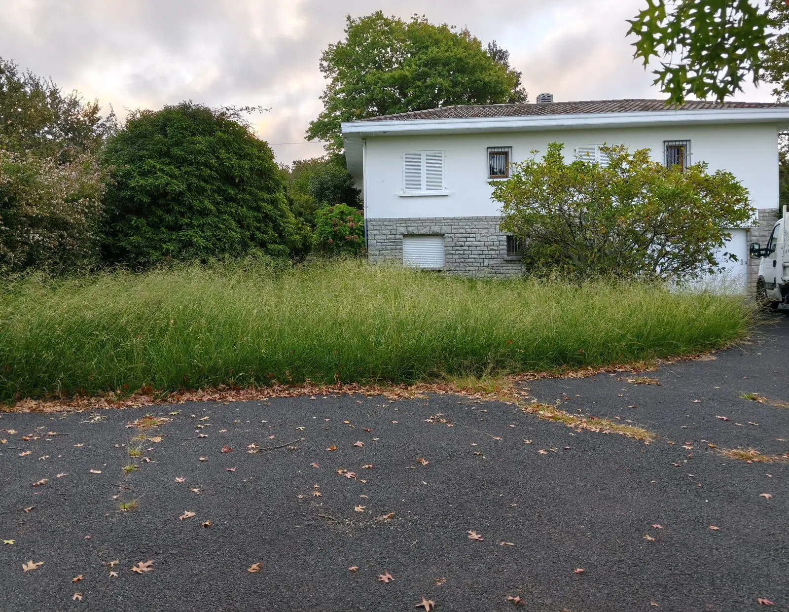 Terrain en herbes hautes devant une maison, avant débroussaillage