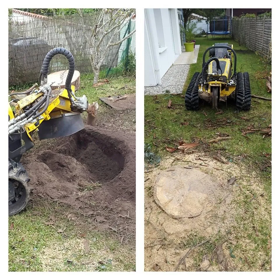 Rogneuse de souche en action dans un jardin, dessouchage par Bellecave