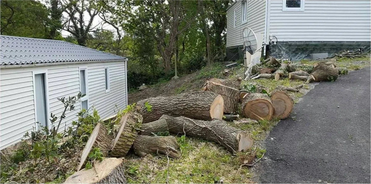 Bois de chêne découpé en rondins et en billes, rangé le long d’une allée en fin de chantier