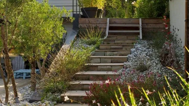 Jardin paysager contemporain avec oliviers, massifs et terrasse en bois