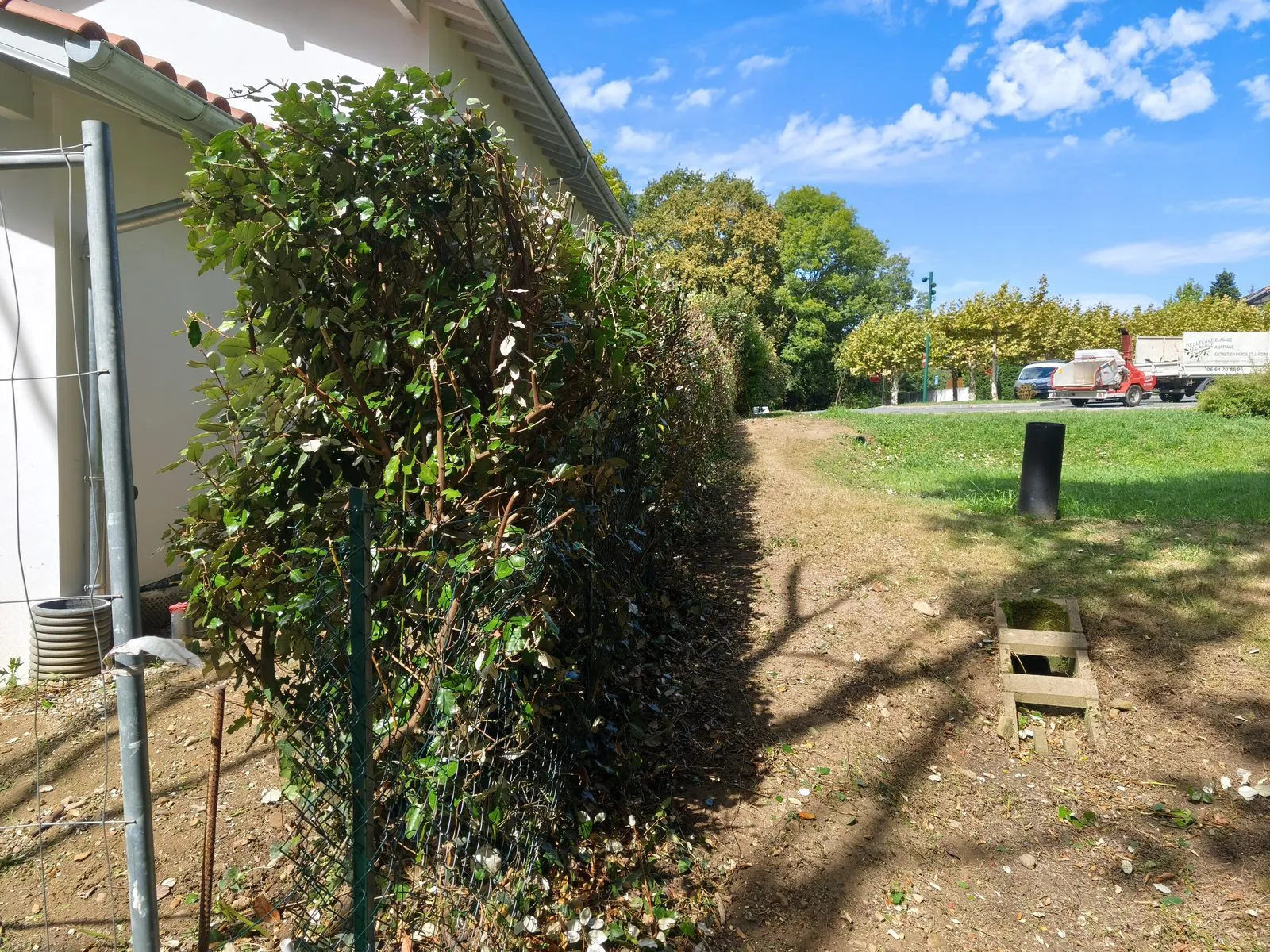 Haie de photinias taillée au cordeau le long d’une maison, passage dégagé